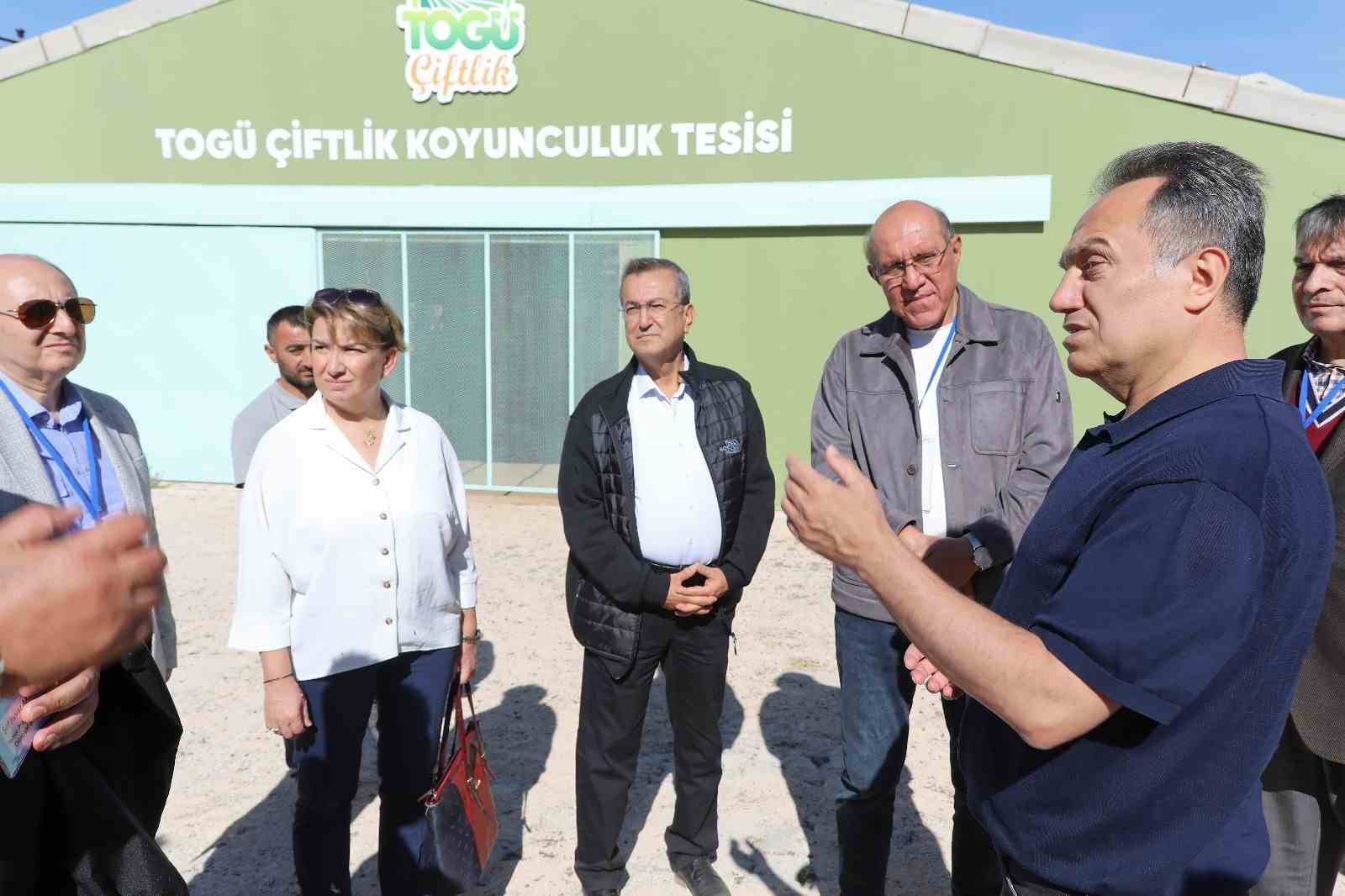 Tokat gastronomi haritasındaki yerini güçlendiriyor