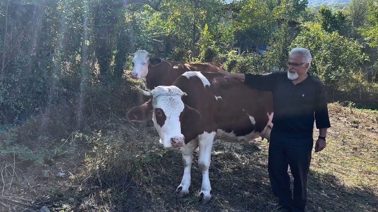 Süt sığırcılığı yapan ailelere 4 milyon 476 bin TL destek