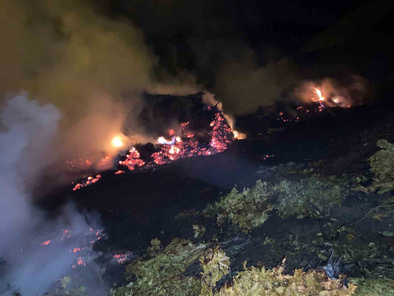 Bitlis’te çıkan yangında ot yığınları kül oldu