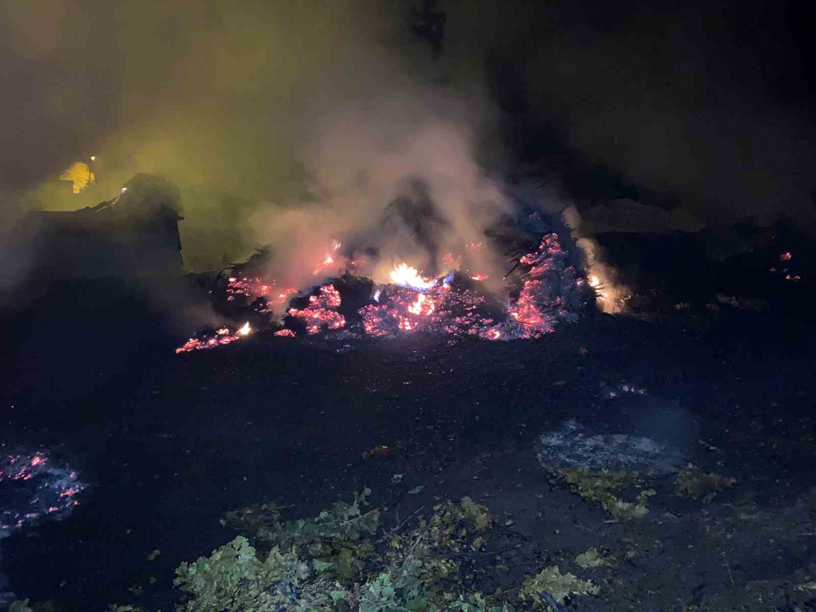 Bitlis&rsquo;te &ccedil;ıkan yangında ot yığınları k&uuml;l oldu
