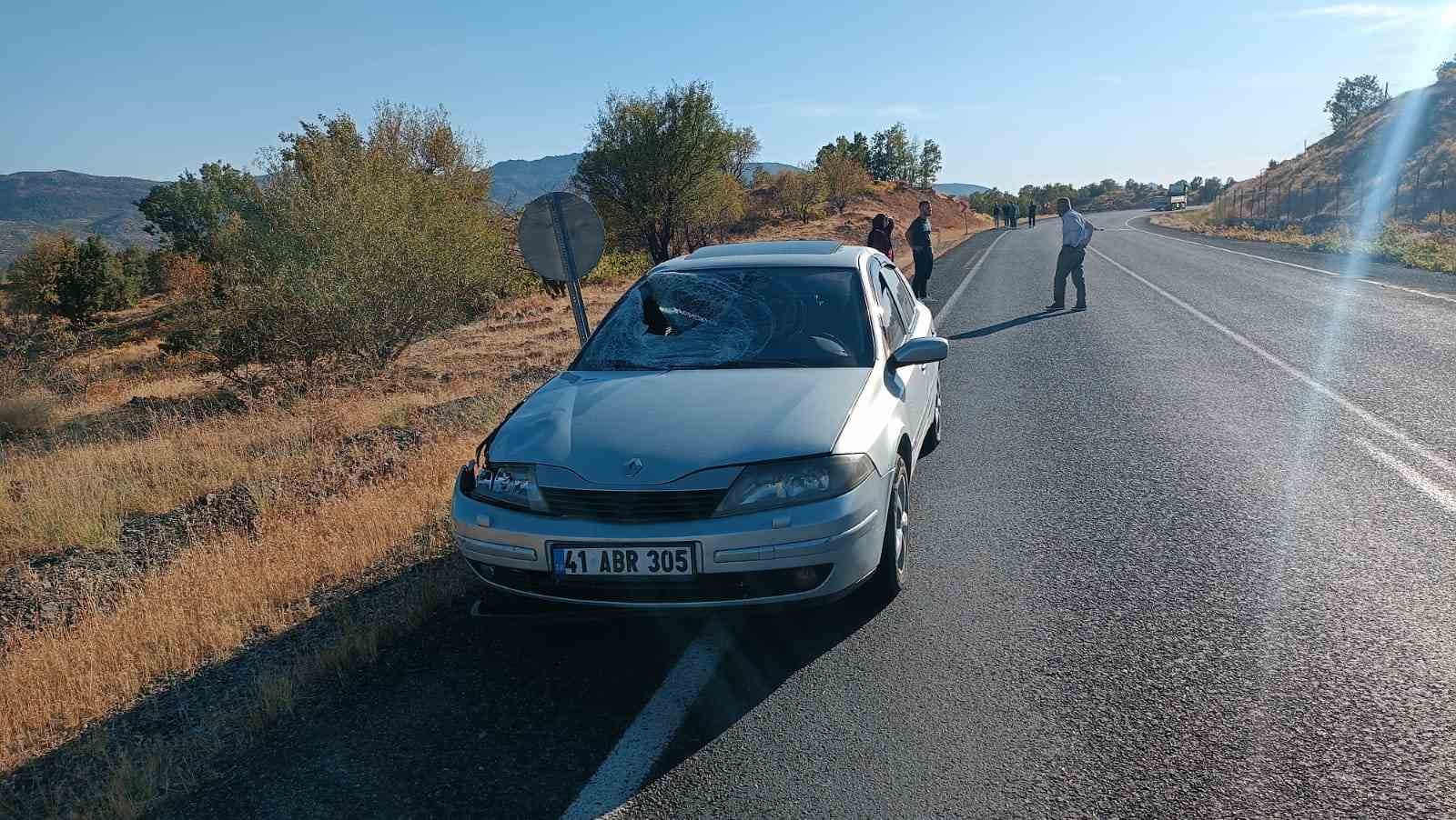 Elazığ&rsquo;da otomobilin &ccedil;arptığı inek telef oldu
