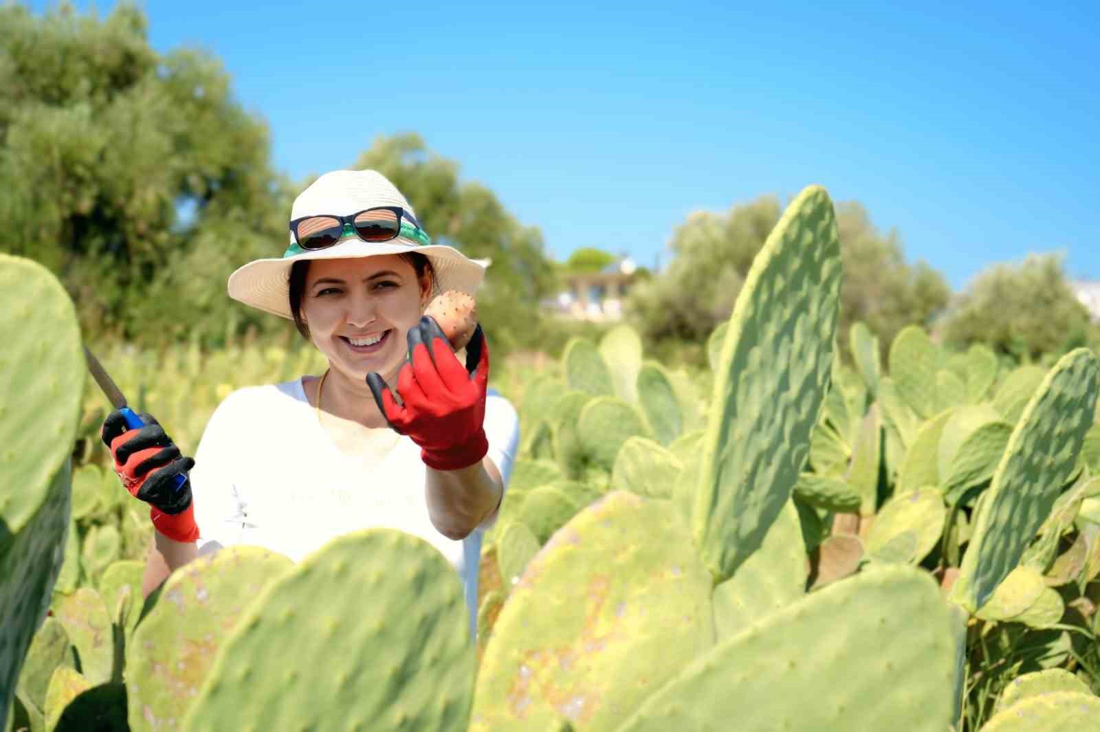 Bah&ccedil;eyi kurarken alay konusu oldular, şimdi 10 ton &uuml;r&uuml;n&uuml;n tamamını yurt dışına veriyorlar
