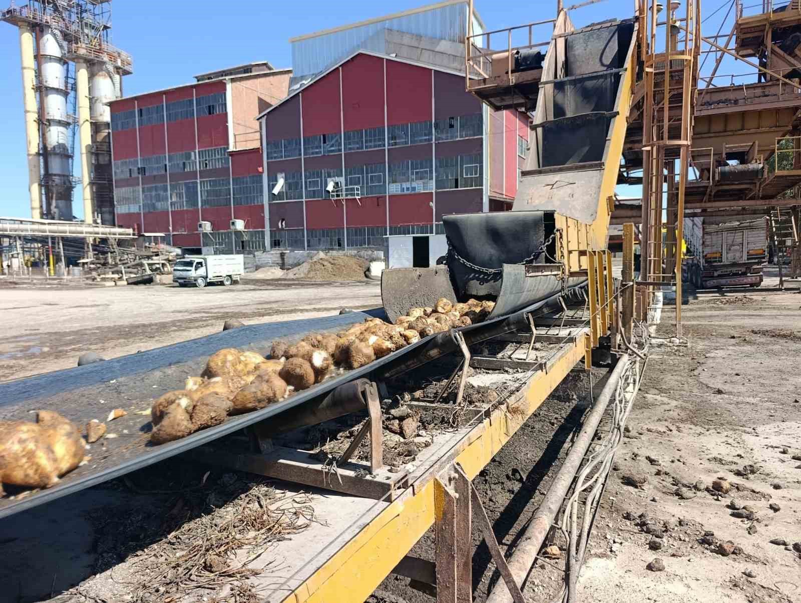 Malatya Şeker Fabrikası’nda 62 bin ton şeker üretimi hedefleniyor