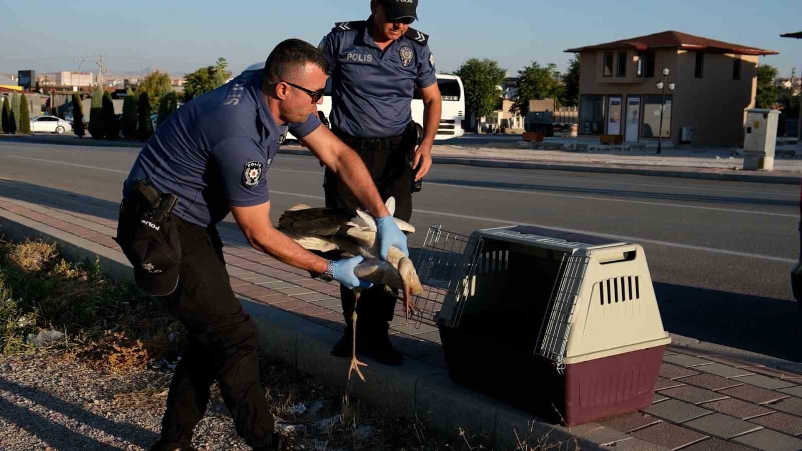 Yol kenarında bulunan yaralı leylek koruma altına alındı

