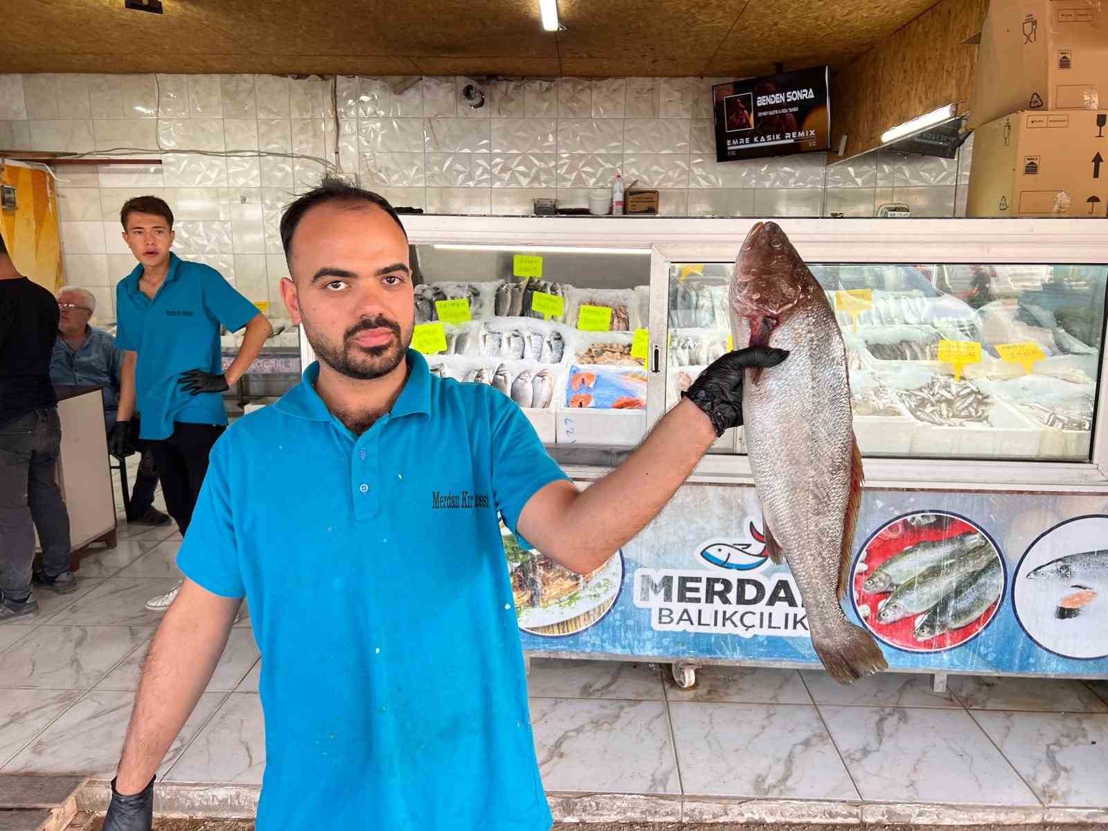 Deprem sonrası Kahramanmaraş&rsquo;tan 54 &uuml;lkeye balık ihracatı
