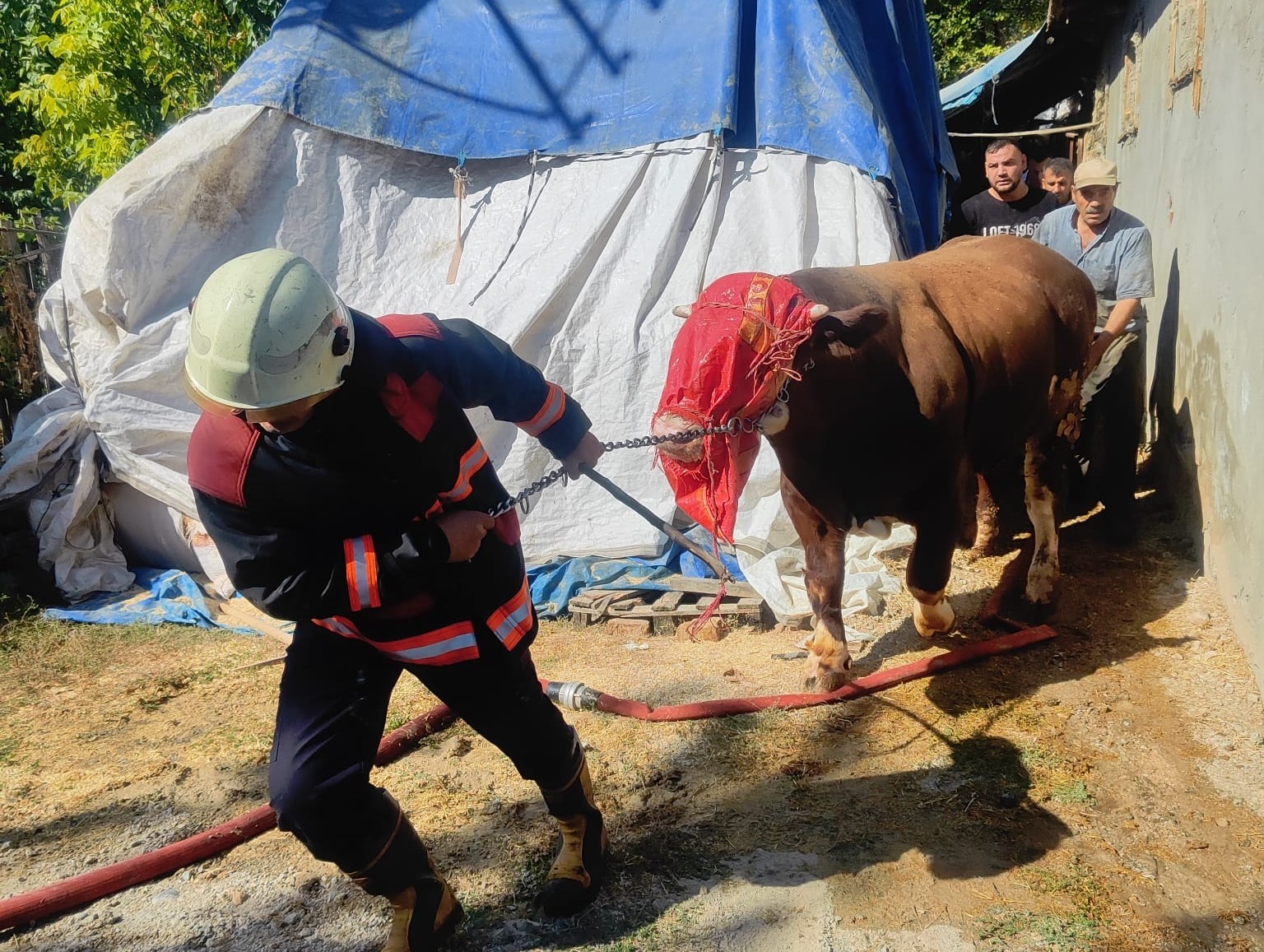 Malatya’da korkutan ahır yangını