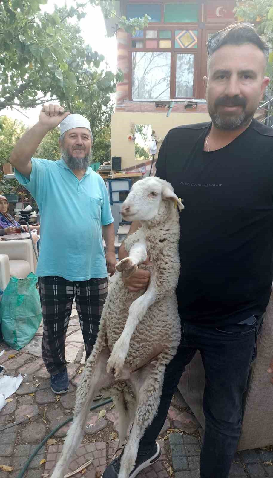 Kaybolan kuzuyu 2 gün misafir edip sahibine ulaştırdı