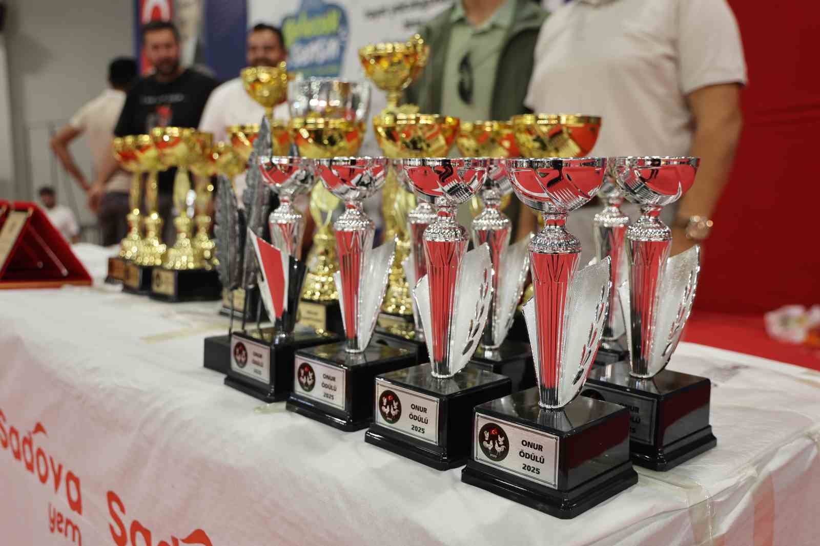 Doğu ve G&uuml;neydoğu&rsquo;nun en g&uuml;zel horoz ve tavukları belli oldu
