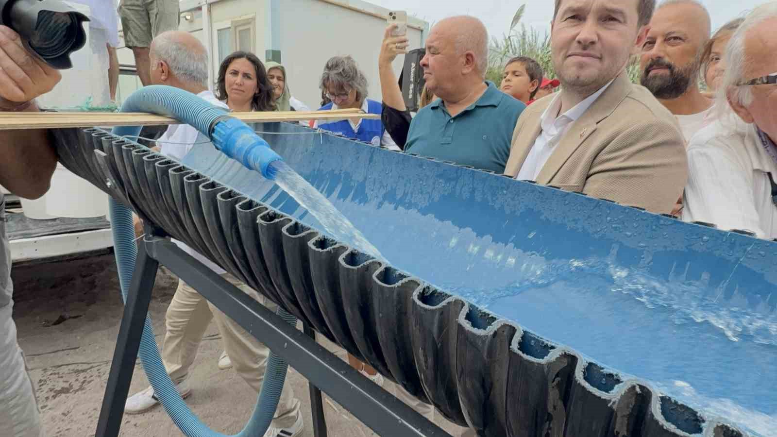 Balık festivalide binlerce yavru balık denize bırakıldı
