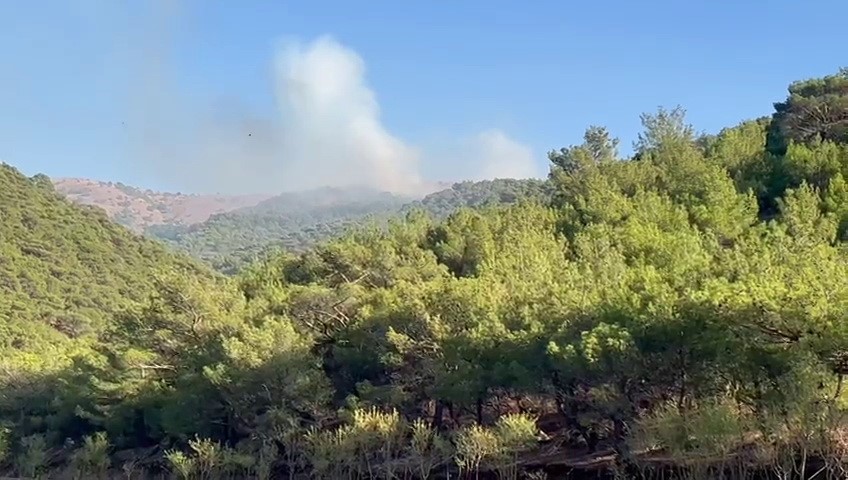 Adıyaman’da korkutan orman yangını