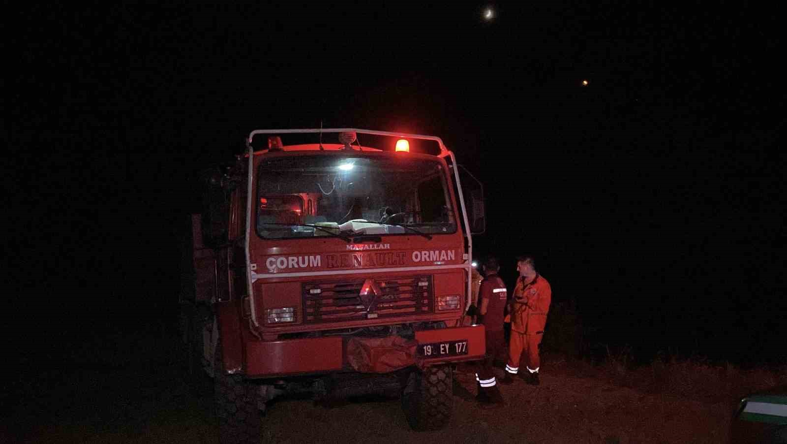 &Ccedil;orum&rsquo;da arazi yangının ormana sı&ccedil;ramasını ekipler &ouml;nledi

