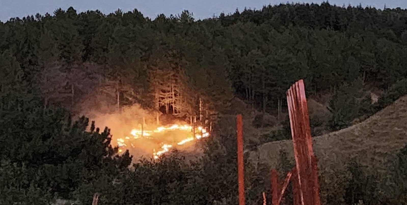 Bingöl’de çıkan orman yangını kontrol altına alındı