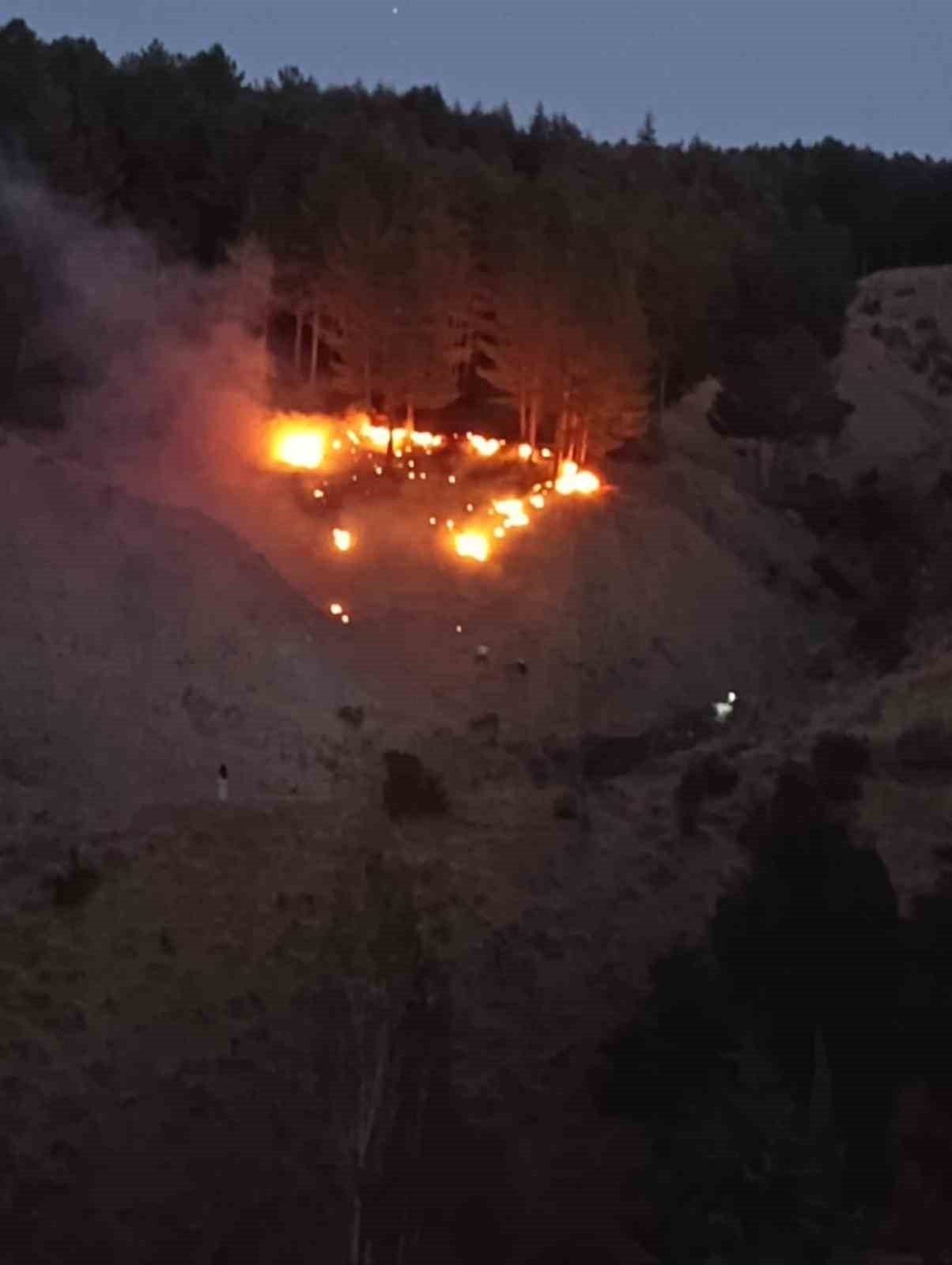 Bingöl’de çıkan orman yangını kontrol altına alındı