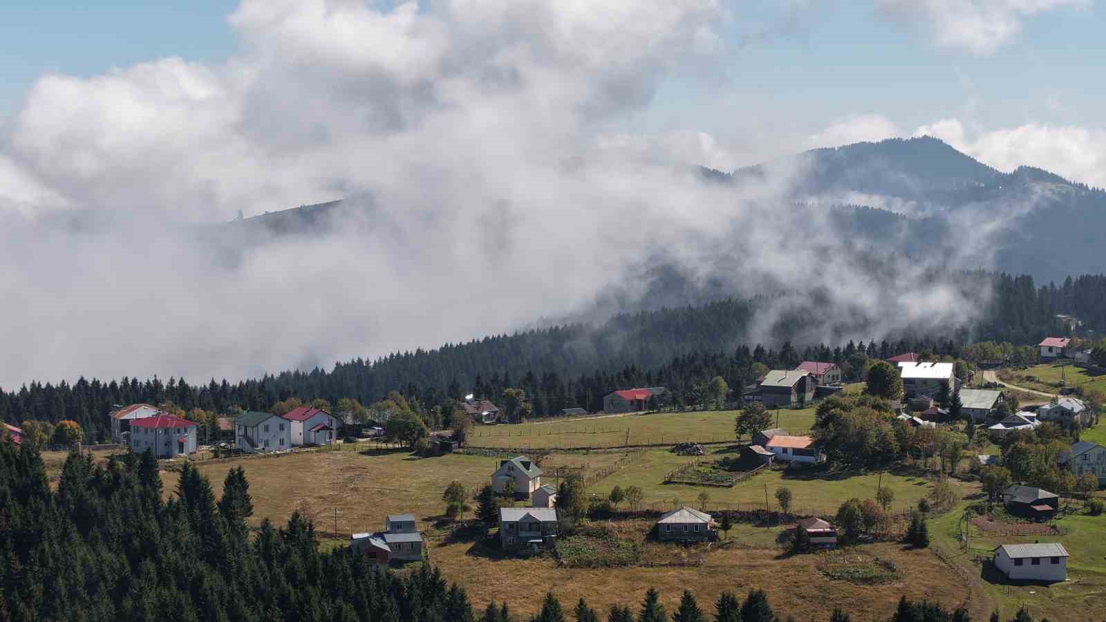 Vargitler açtı, yaylalar sessizliğe büründü