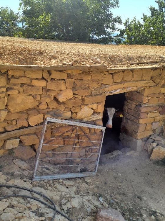 Tunceli&rsquo;de hak sahipliği skandalı: Ahırları ev gibi, yıkılmış evleri varmış gibi g&ouml;stermişler
