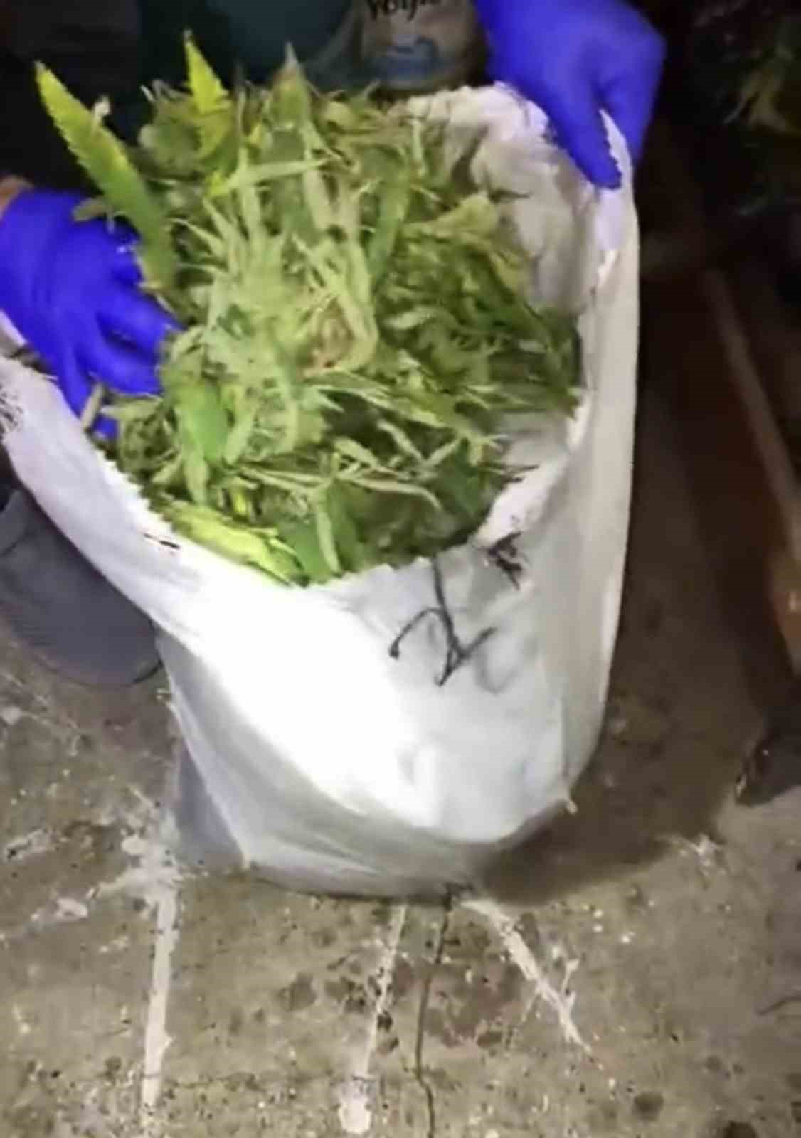 Jandarmadan uyuşturucu operasyonu: Esrar, kenevir ve silah ele ge&ccedil;irildi
