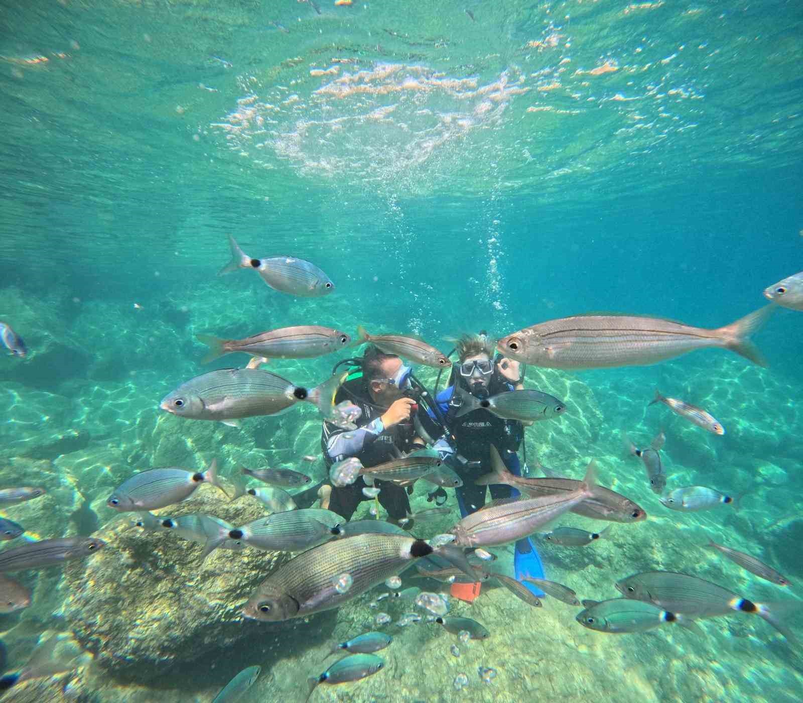 Marmaris&rsquo;te dalış turizmine yoğun ilgi