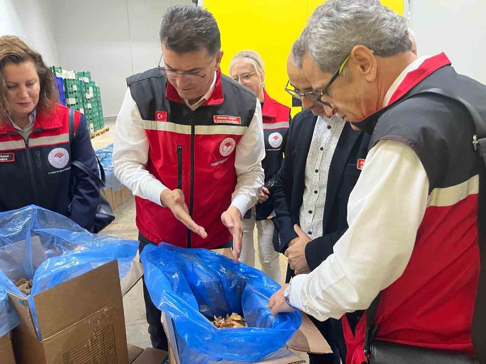 Saray ormanlarından tr&uuml;f mantarı ihracatı
