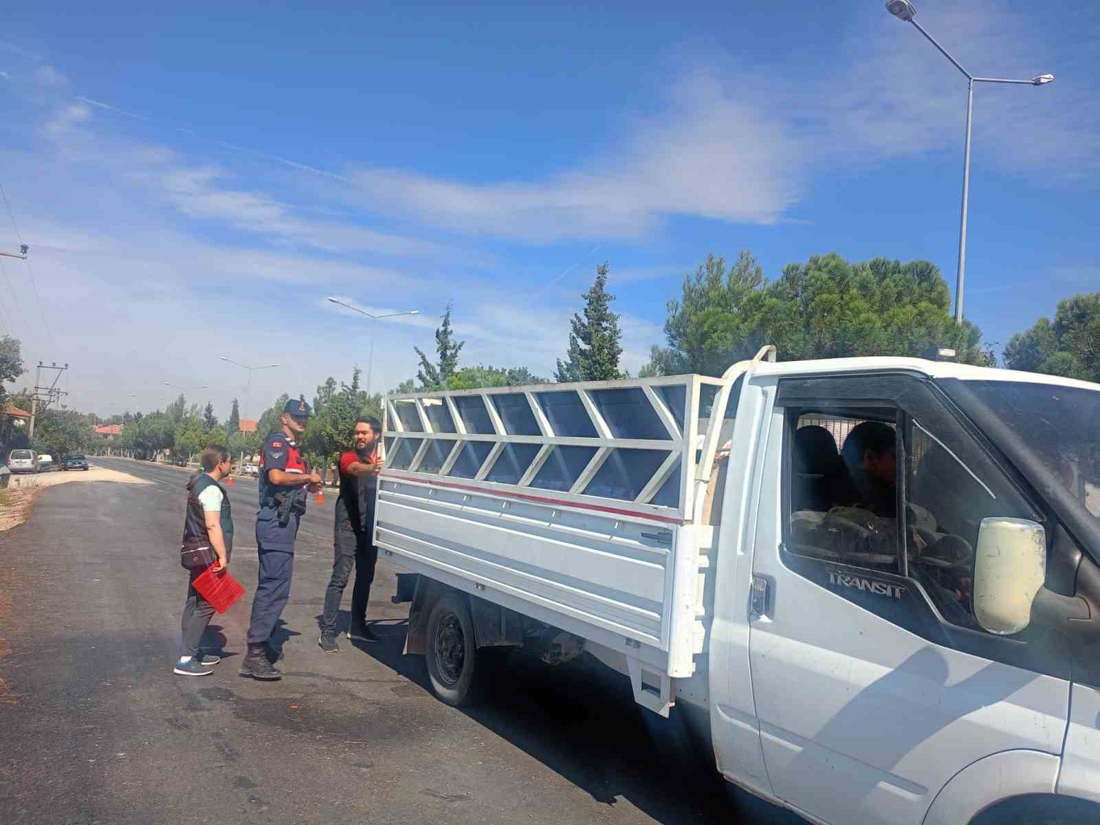 Uşak’ta şap hastalığına karşı denetimler hız kesmeden sürüyor