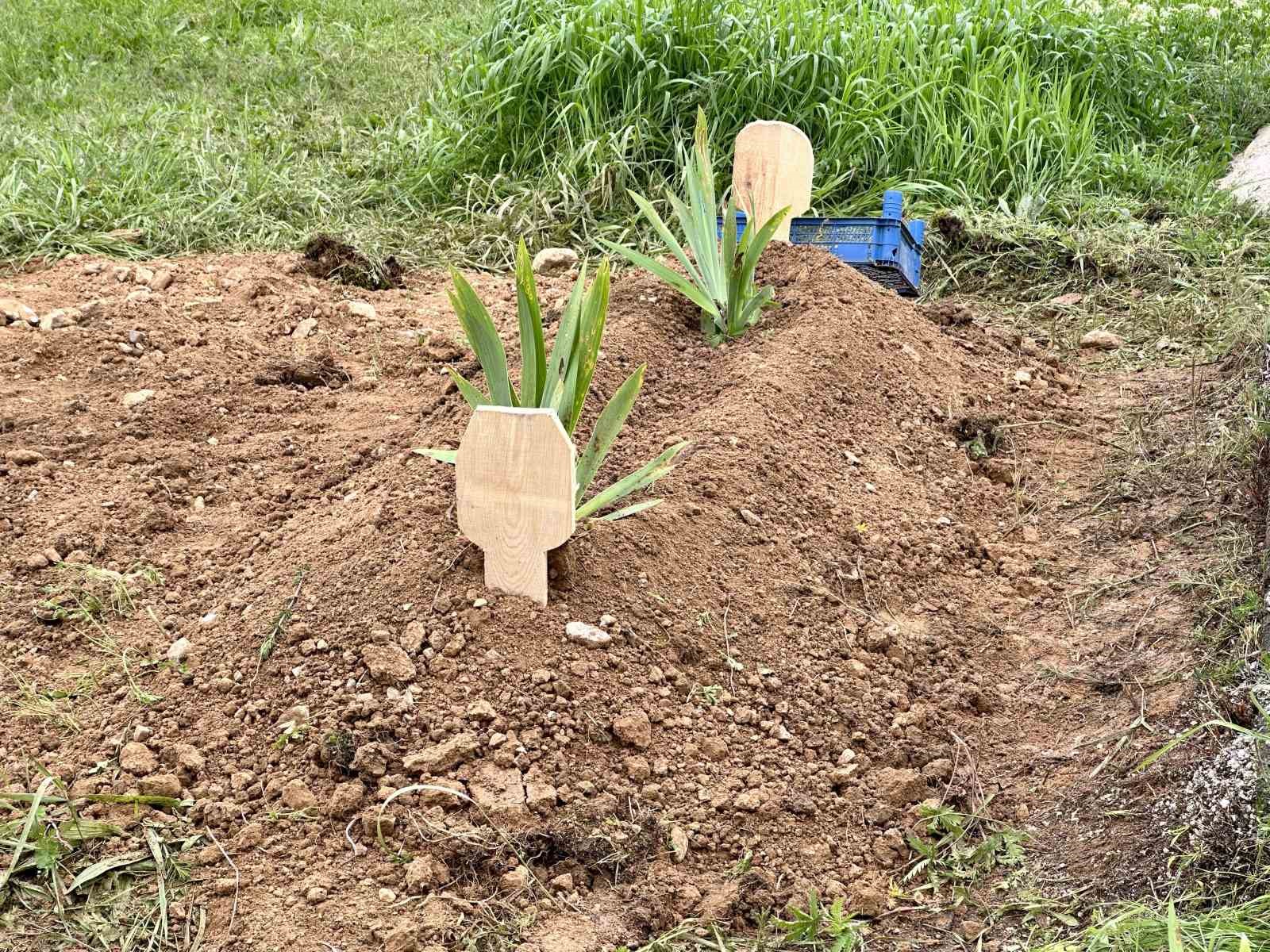 Bir gün boyunca evde yalnız bıraktığı bebeğinin ölümüne sebep olan kadına 22 yıl hapis cezası