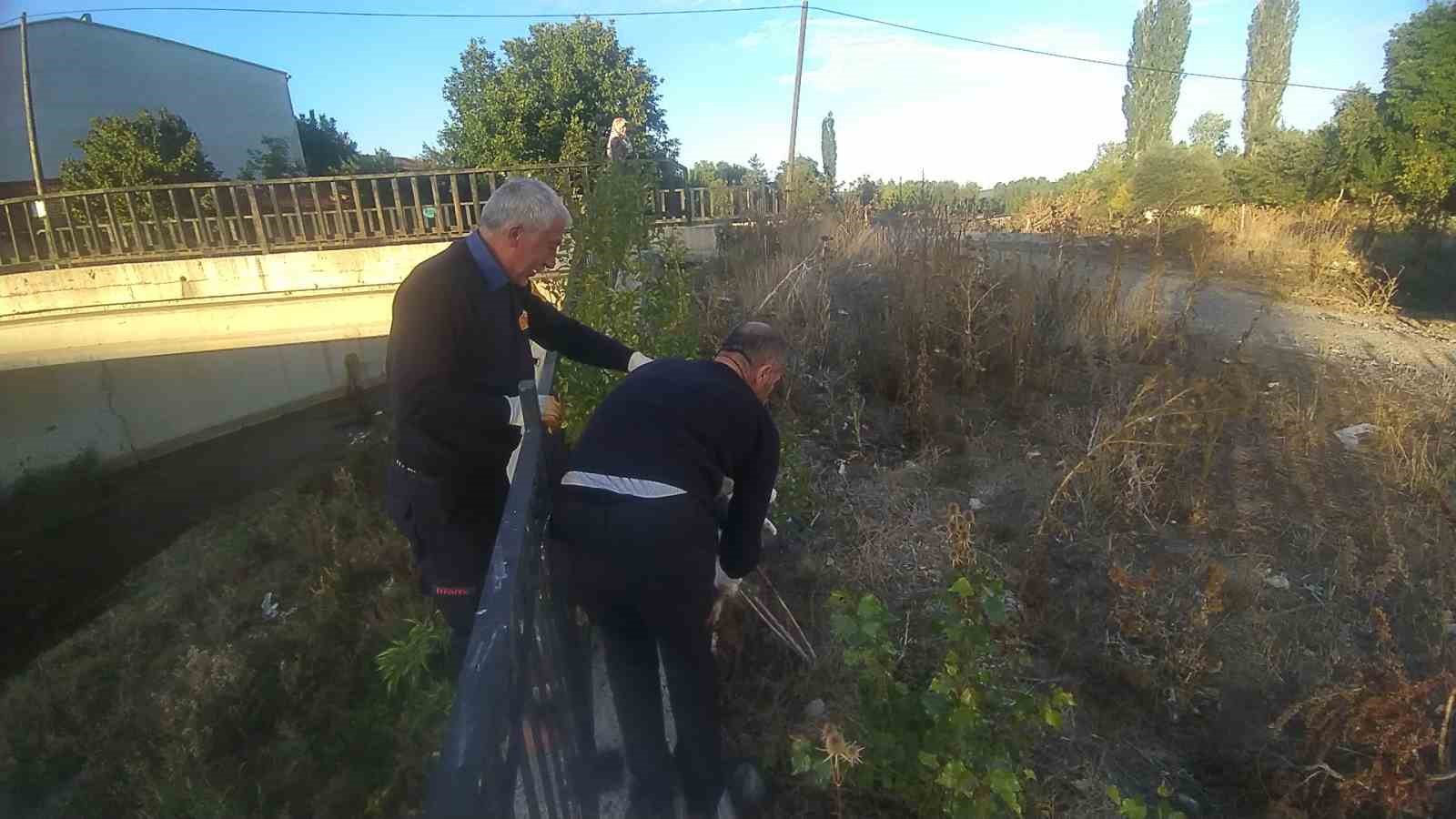 Çaya düşen engelli kediyi itfaiye kurtardı