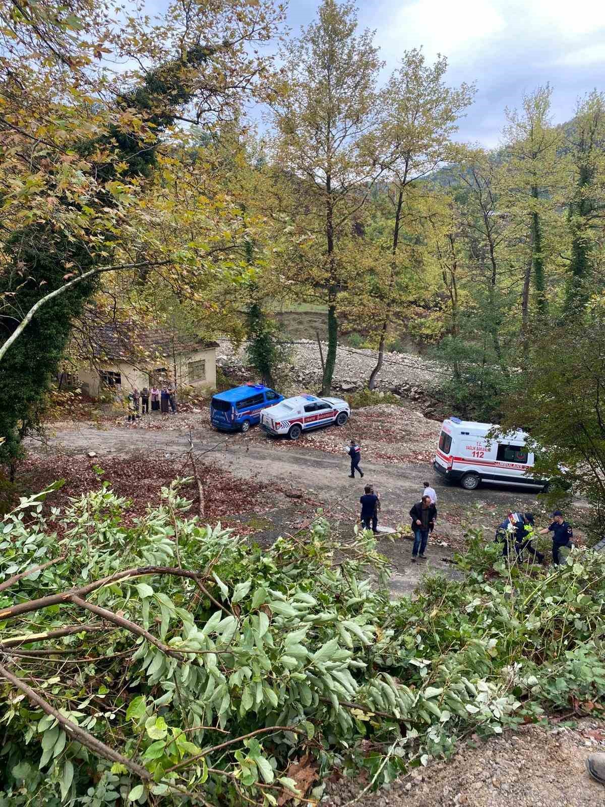 Türkeli’de otomobil şarampole yuvarlandı: 1 yaralı