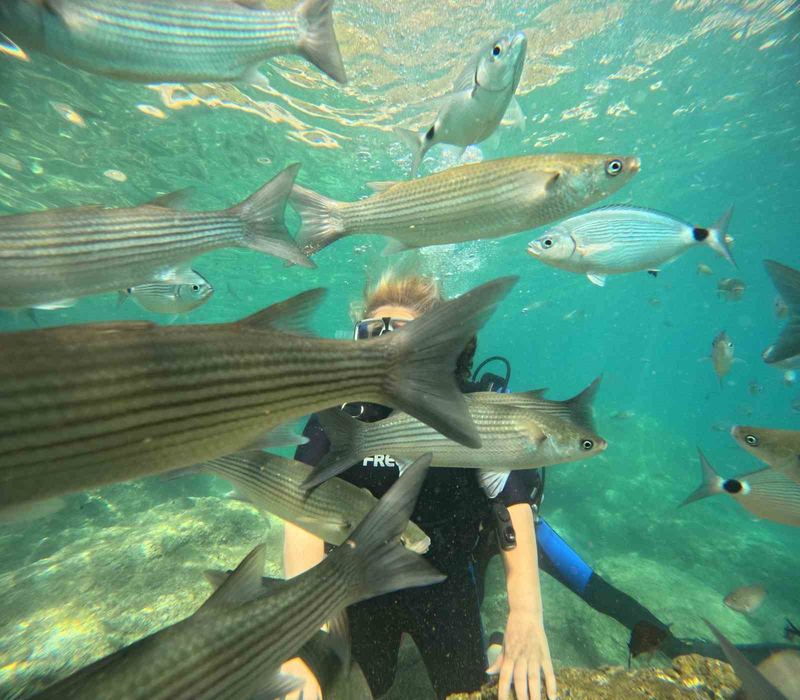 Marmaris’te dalış turizmine yoğun ilgi