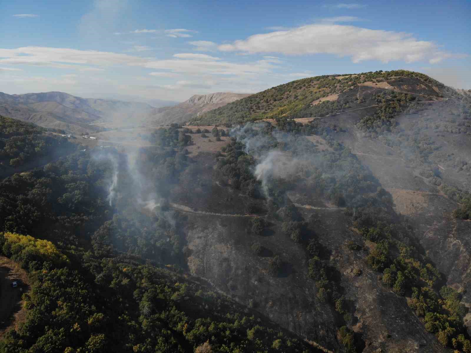 Gümüşhane’deki orman yangınında 30 hektar alan küle döndü