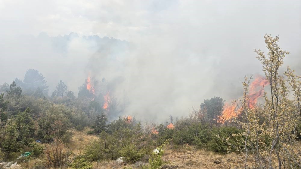 Konya&rsquo;da ormanlık alanda &ccedil;ıkan yangın s&ouml;nd&uuml;r&uuml;ld&uuml;
