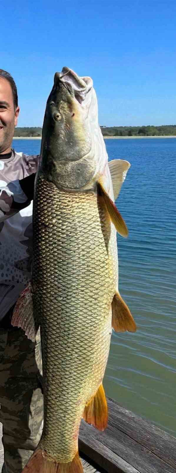 Elazığ&rsquo;da 34 kiloluk dev turna yakalandı
