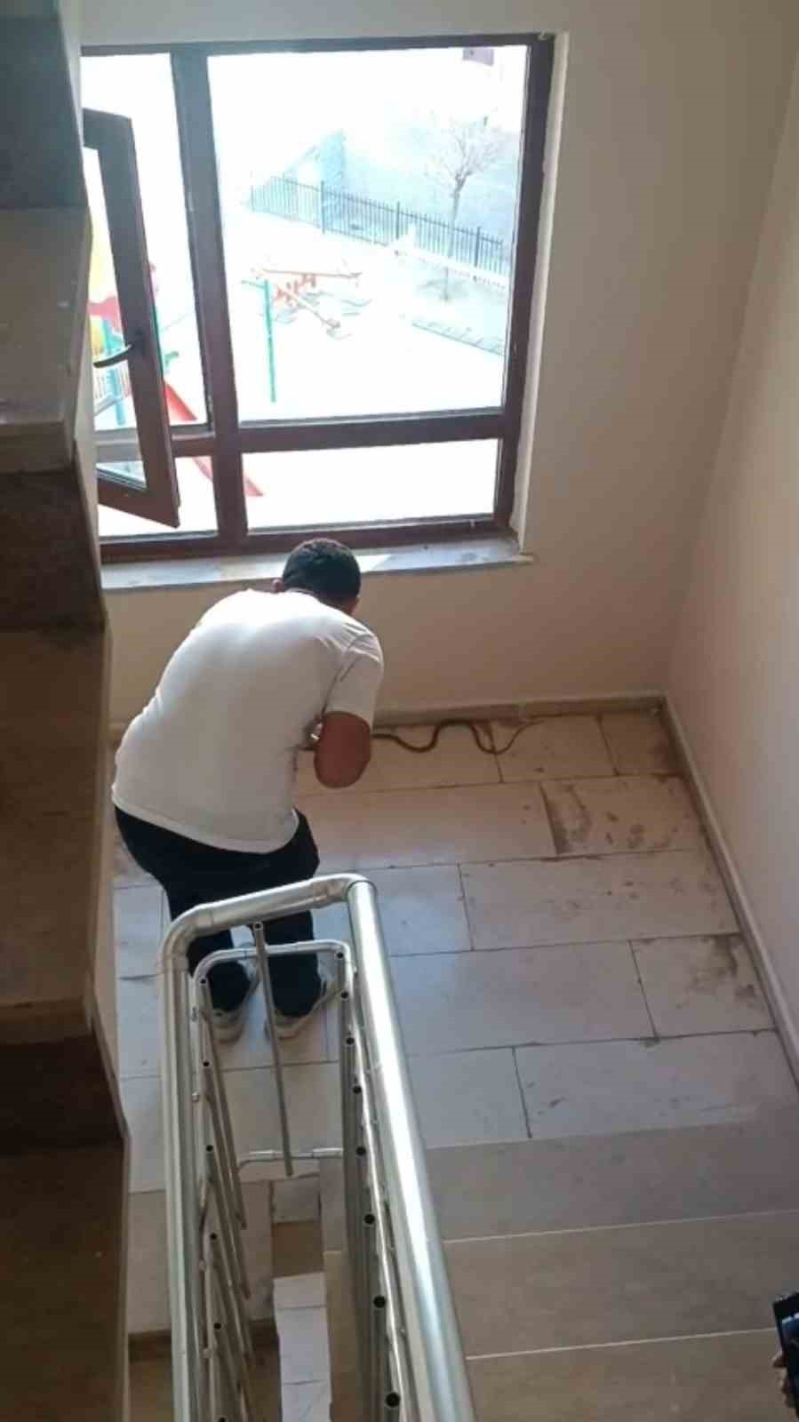 Şırnak&rsquo;ta apartmanda yılan paniği
