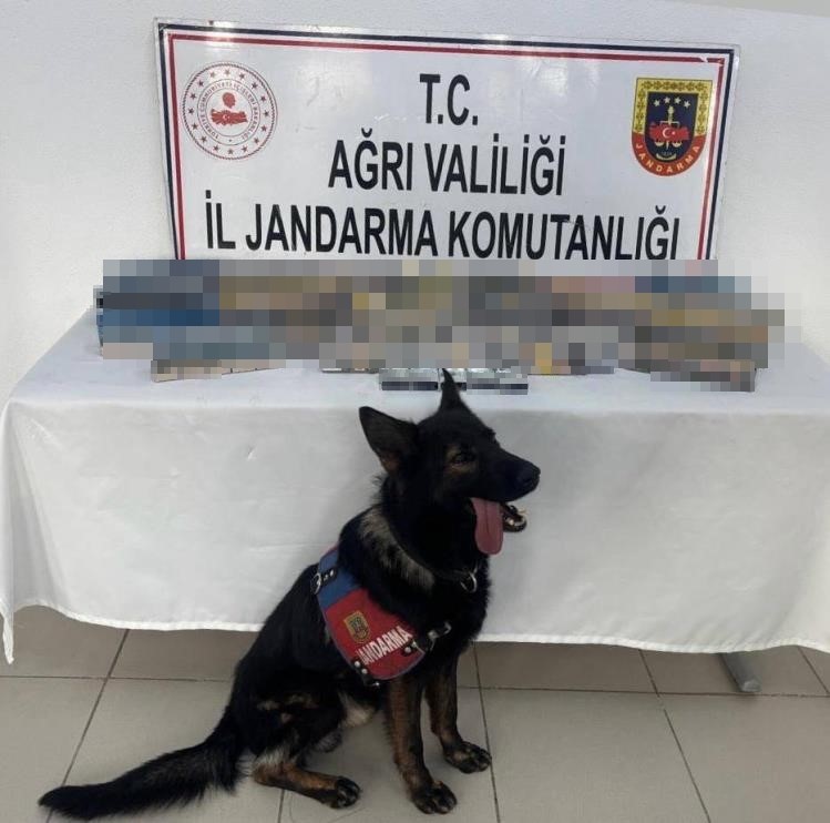 Ağrı’da bin 227 paket gümrük kaçağı sigara ele geçirildi
