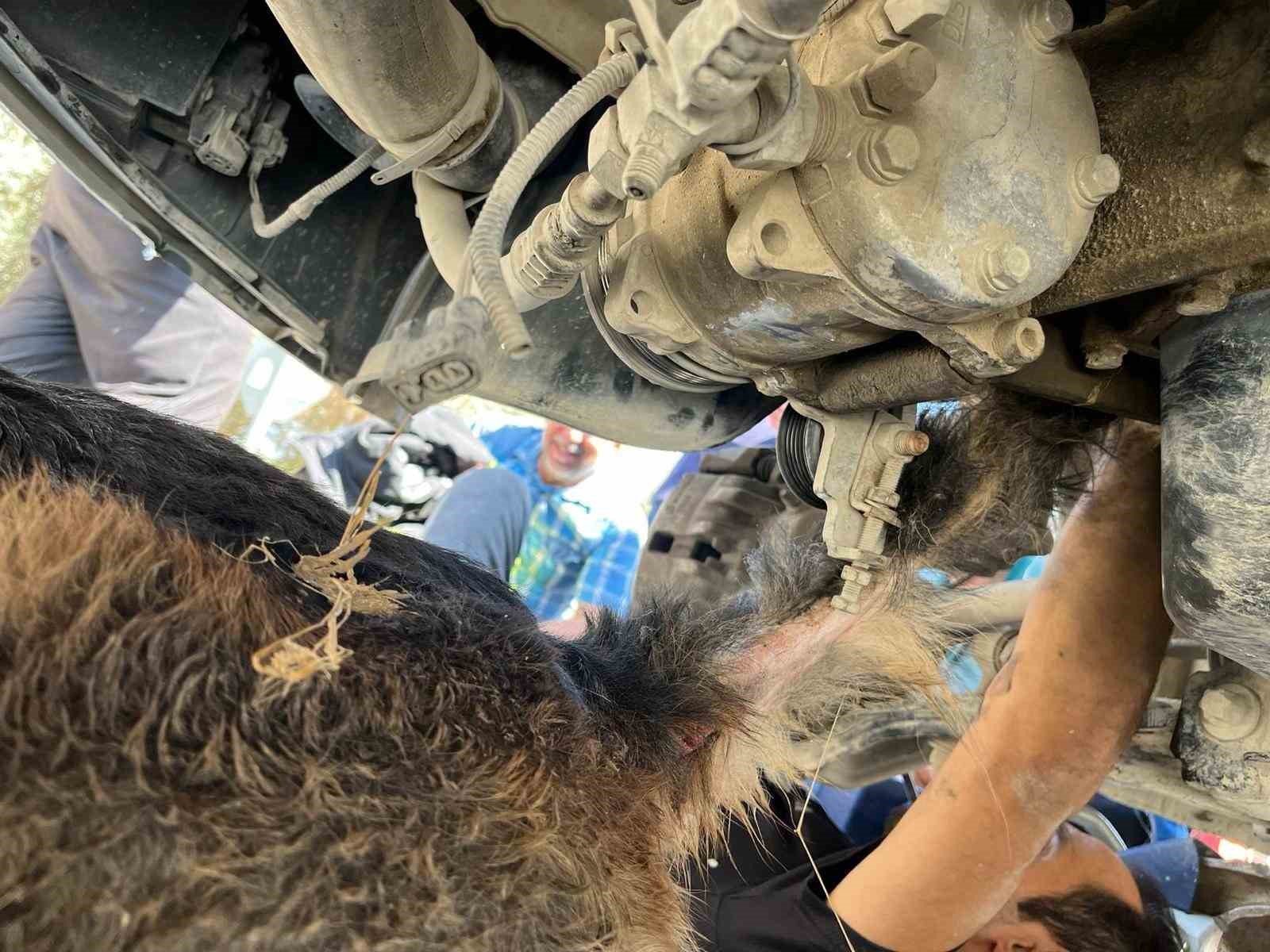 Minibüsün altında sıkışıp mahsur kalan köpeği itfaiye kurtardı