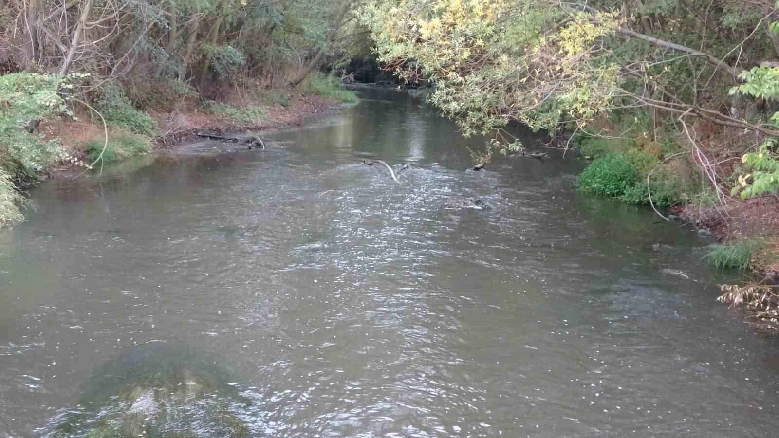 Porsuk &Ccedil;ayı&rsquo;ndaki kirlilik k&ouml;yl&uuml;leri mağdur ediyor

