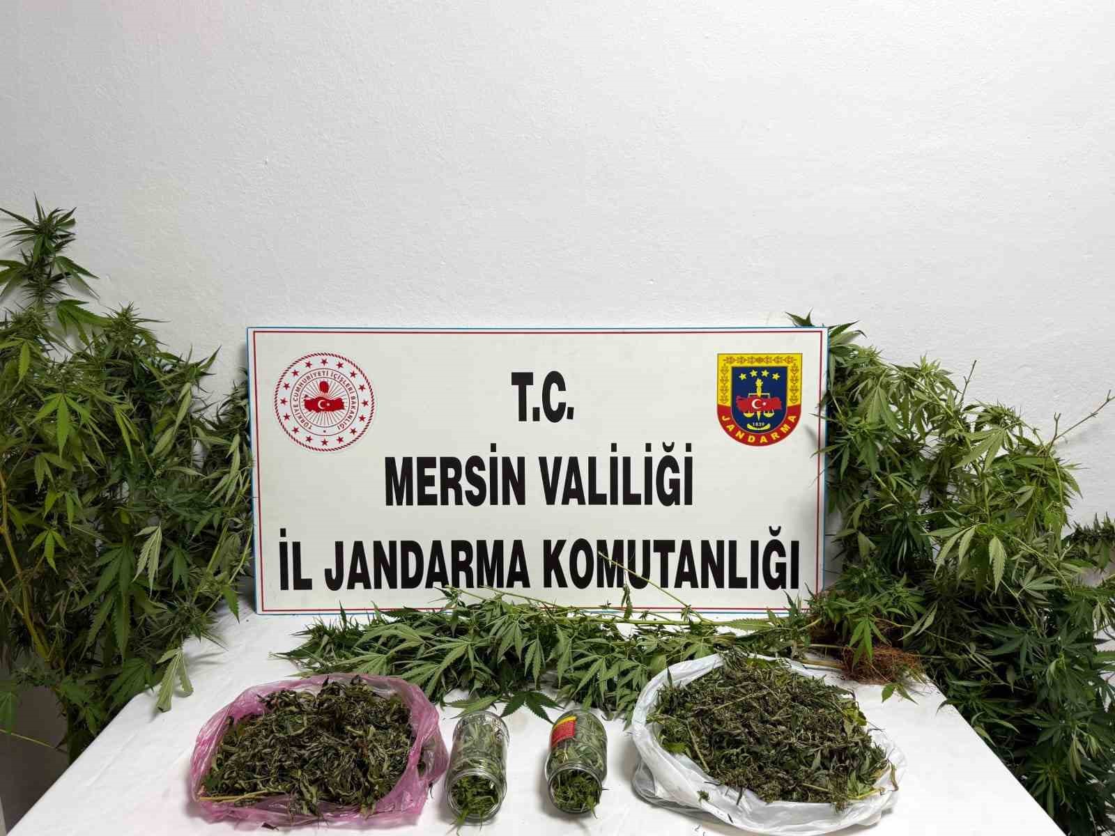 Uyuşturucuyu saksılara ekip evinin &ccedil;evresine yerleştirmiş
