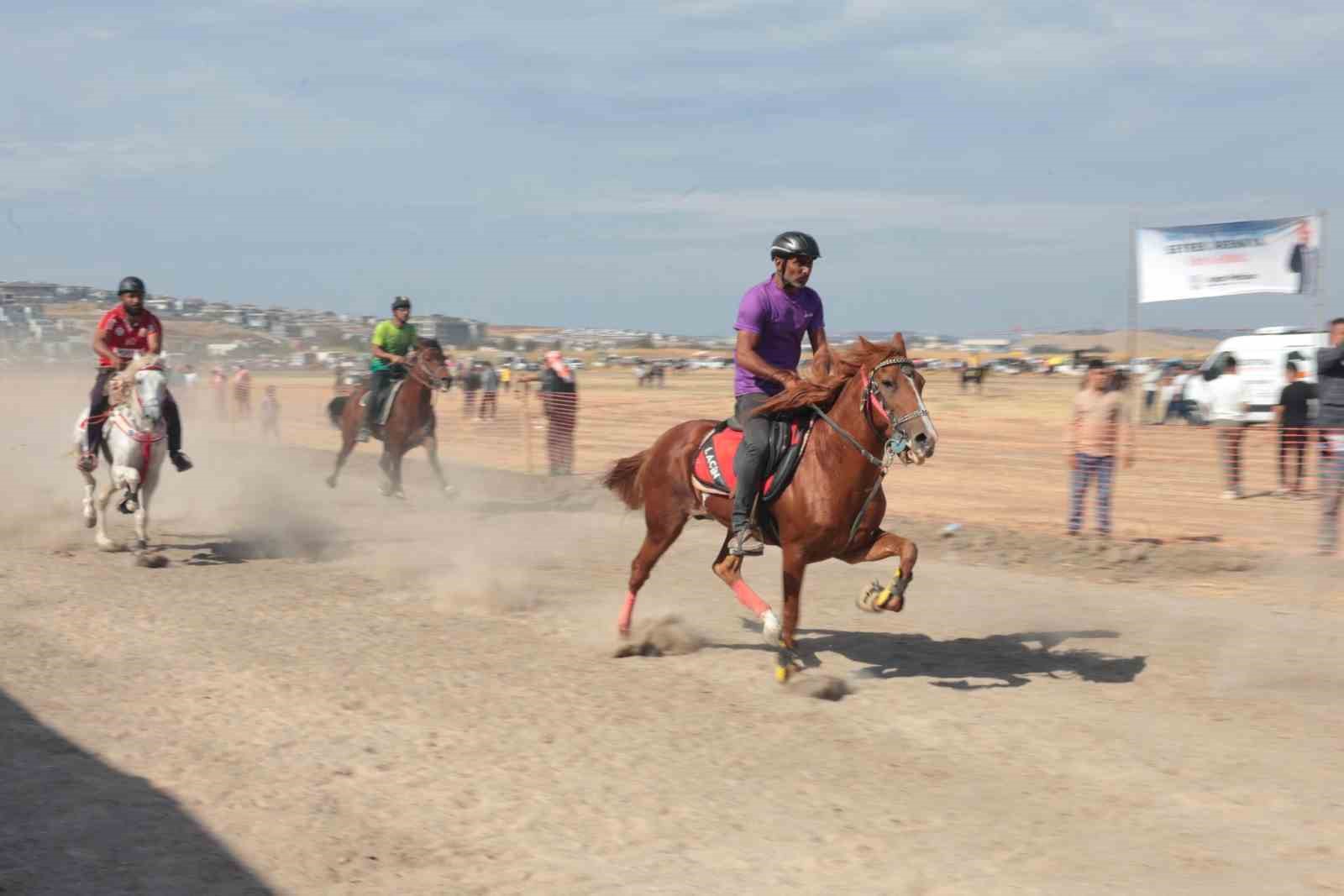 Türkiye’nin şampiyon atları Menemen’de yarıştı
