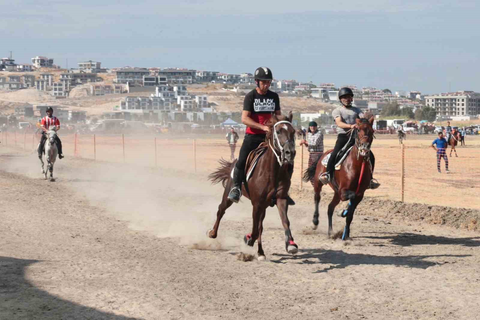 Türkiye’nin şampiyon atları Menemen’de yarıştı