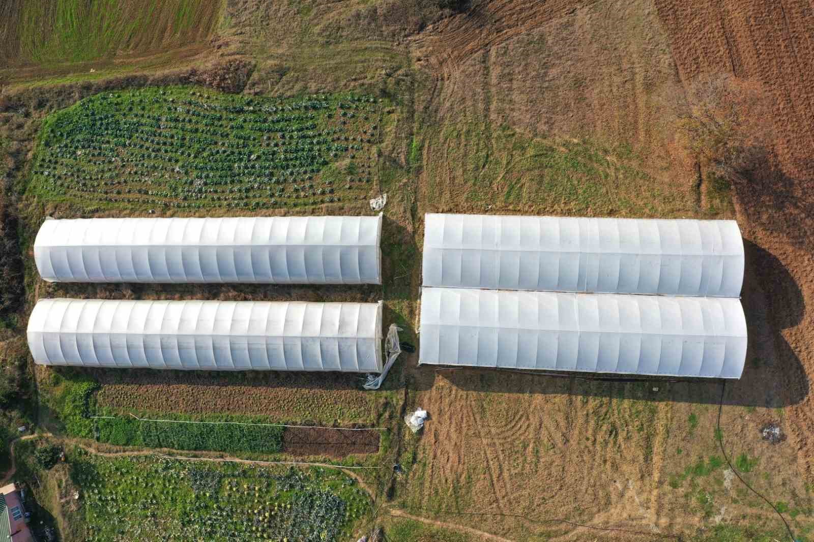 Çiftçilere yüzde 50 hibeli modern sera