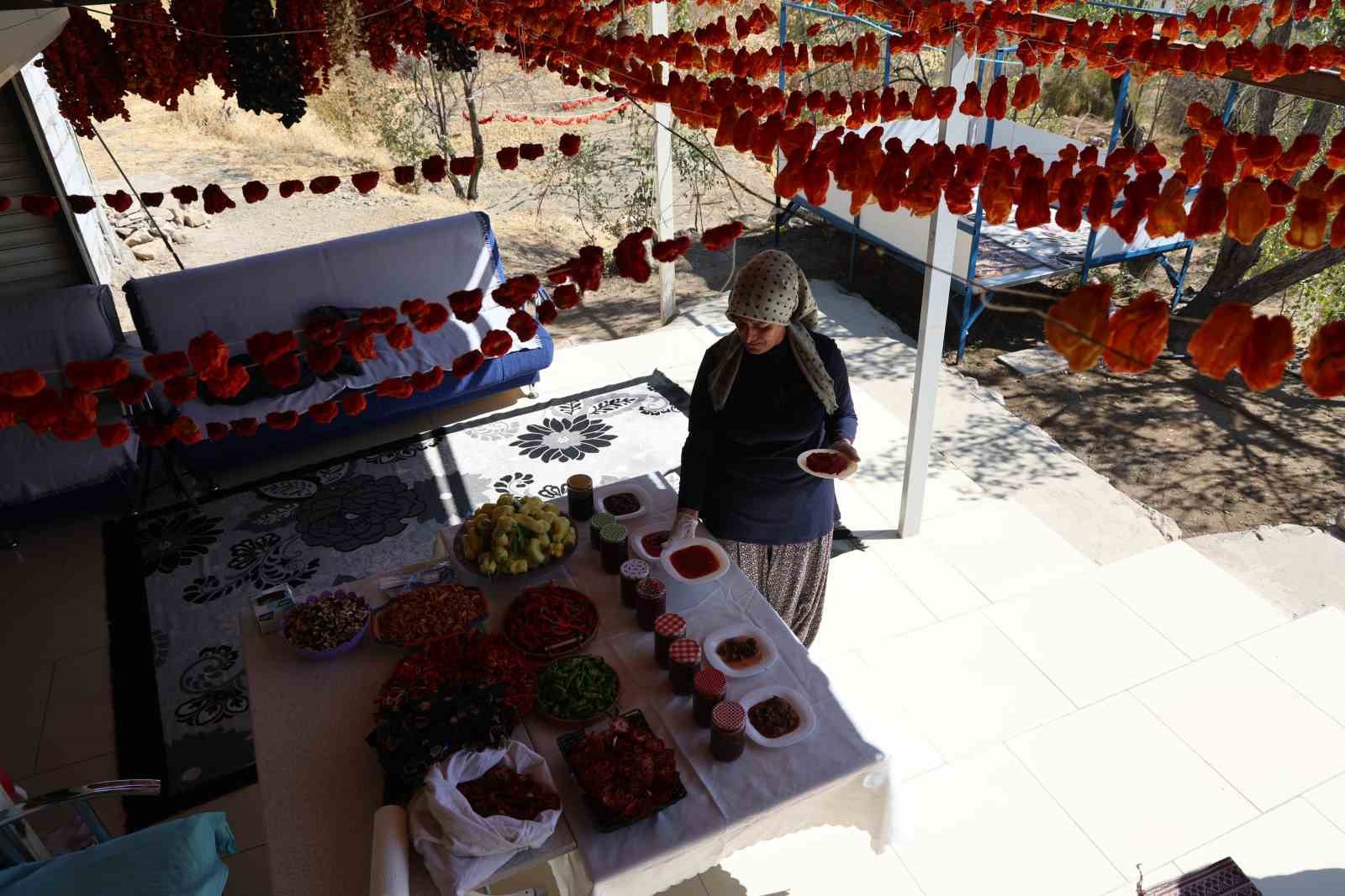 Eşi emekli olduktan sonra köyüne yerleşen girişimci kadın, acı ve tatlıyı bir araya getirdi