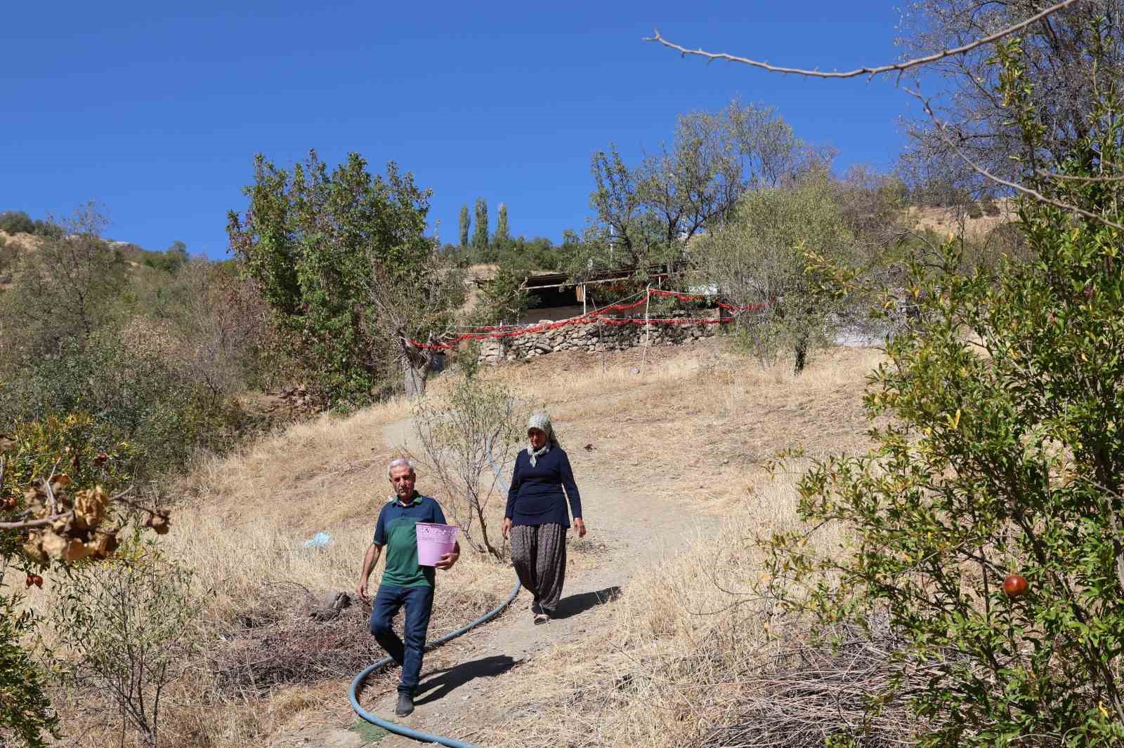 Eşi emekli olduktan sonra k&ouml;y&uuml;ne yerleşen girişimci kadın, acı ve tatlıyı bir araya getirdi
