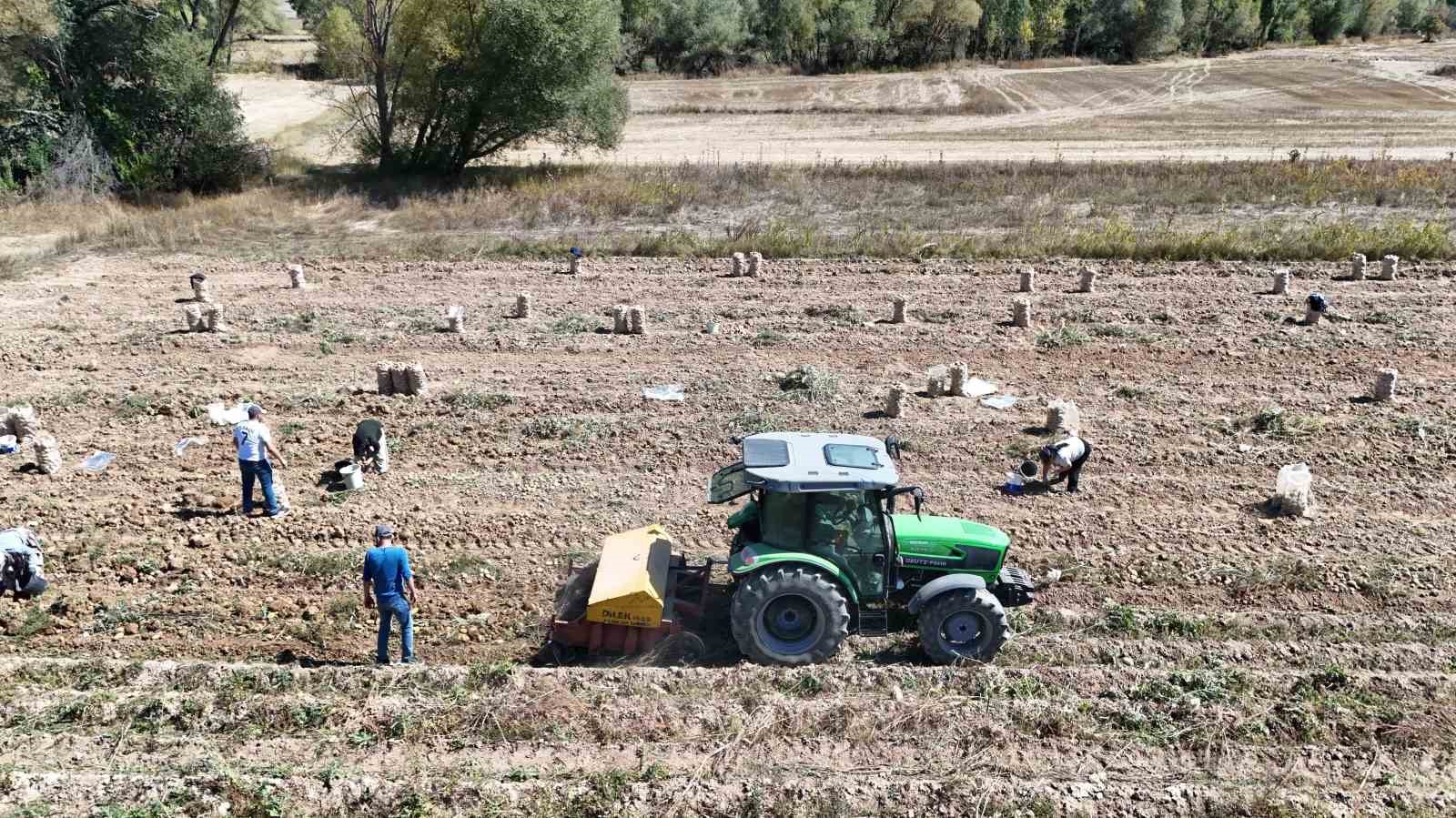 K&uuml;mbet&rsquo;te yetiştirilen doğal patatesin hasadı başladı
