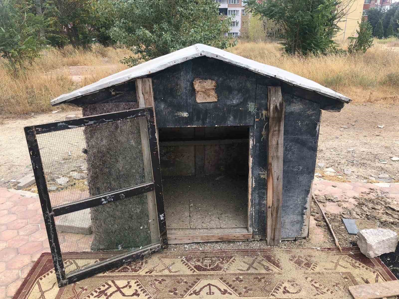 Cinayete kurban giden şahsın kuşları beslediği kafes boş kaldı