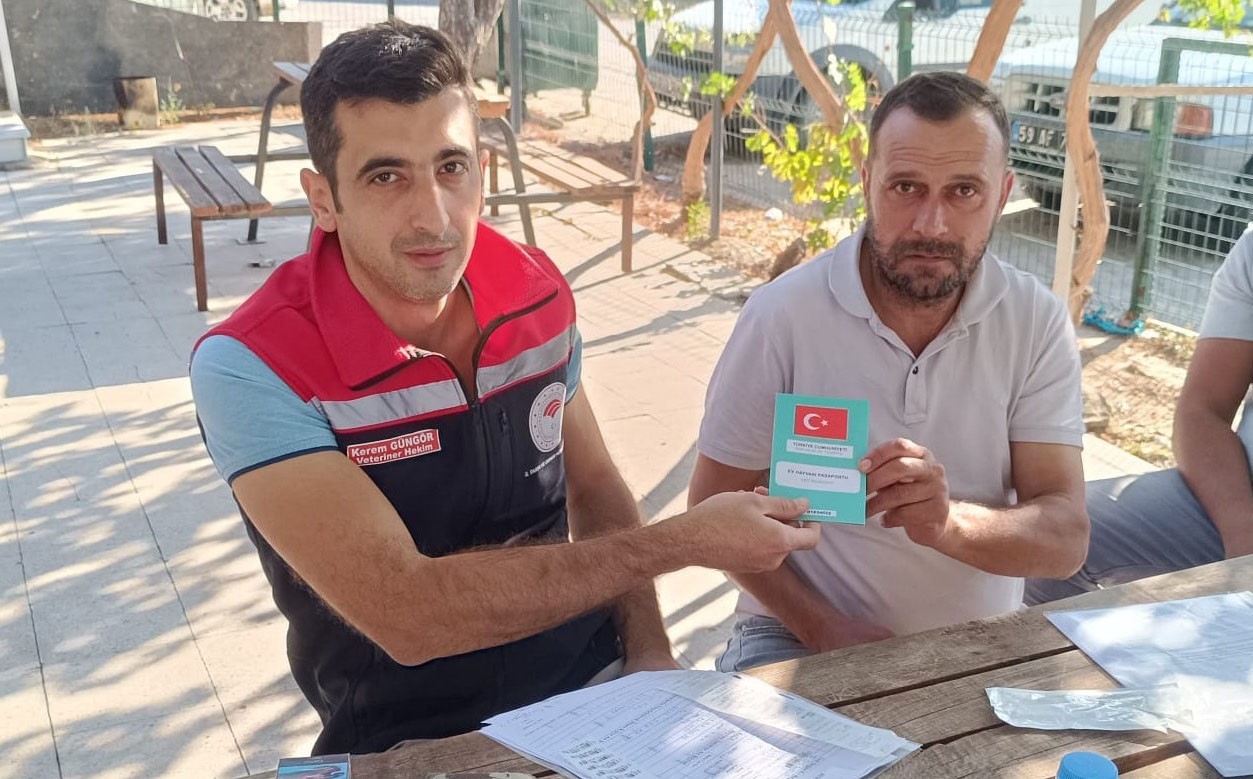 Hayrabolu&rsquo;da kedi ve k&ouml;pekler kimliklendiriliyor
