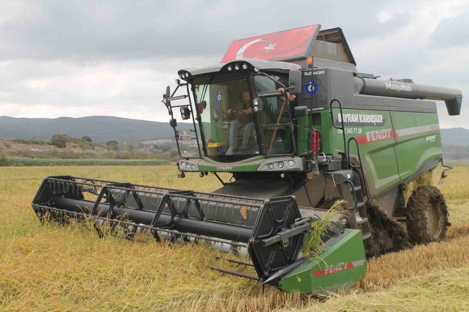 Manyas Ovası’nda çeltik hasadı başladı