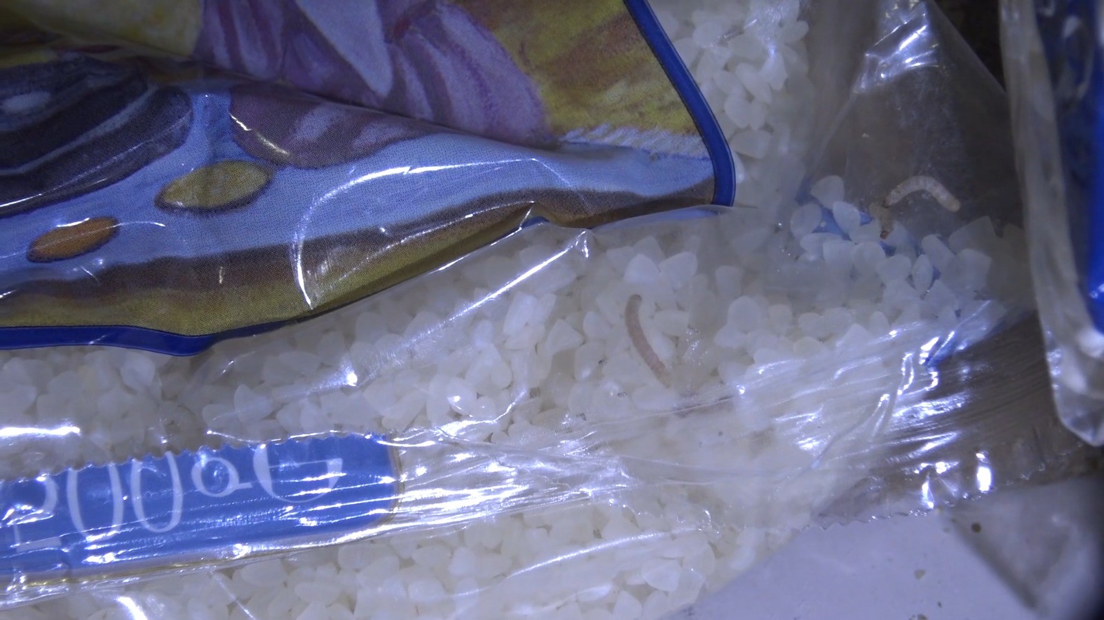 Zabıta denetiminde kurtlanmış ve böceklenmiş ürünler ele geçirildi