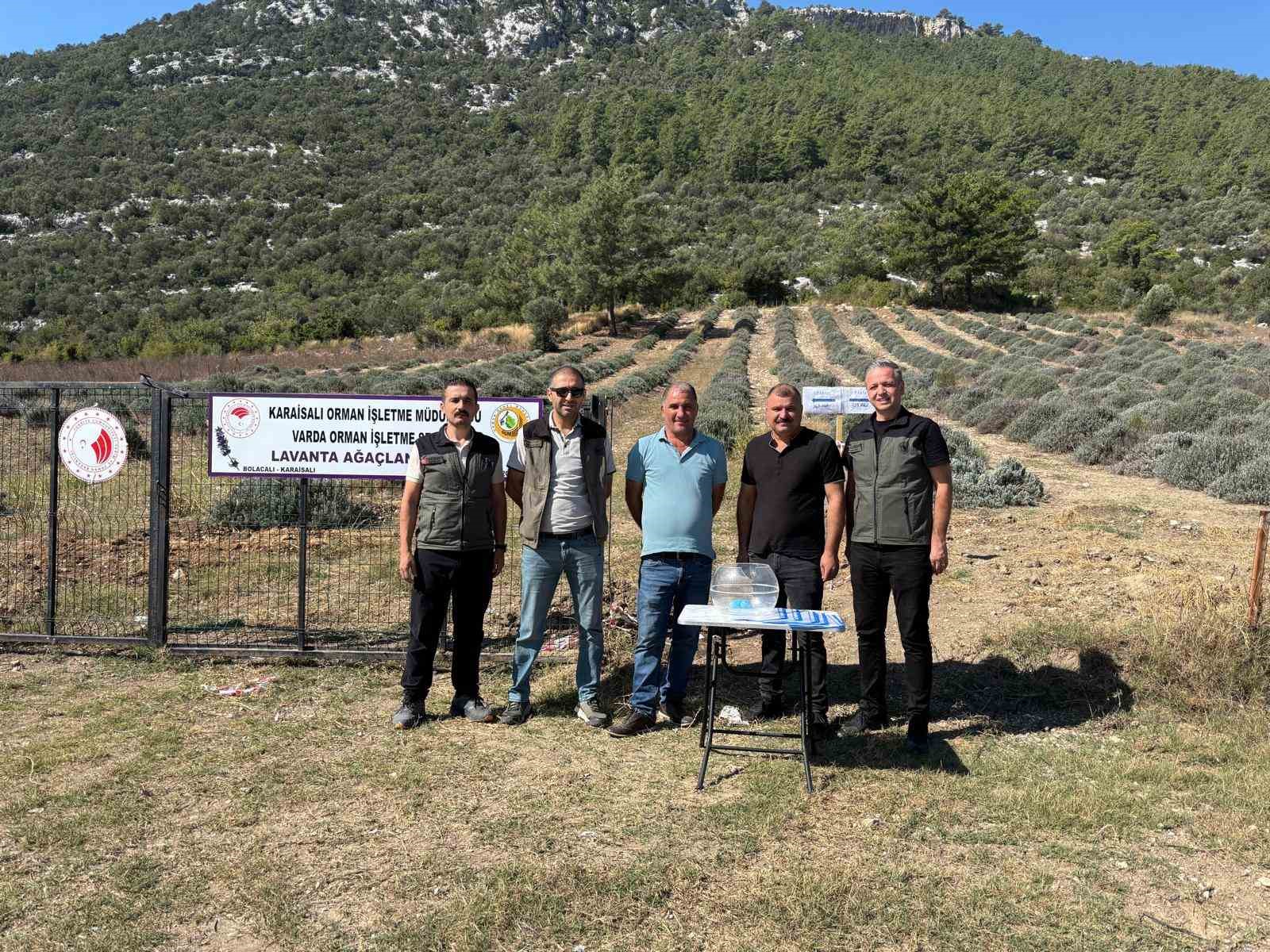 Bakımını yapan kullanım hakkını elde edecek