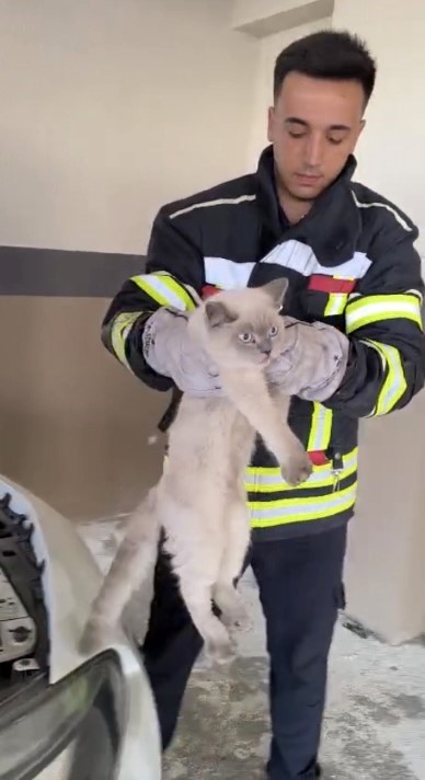 Osmaniye’de araç motoruna sıkışan kedi kurtarıldı