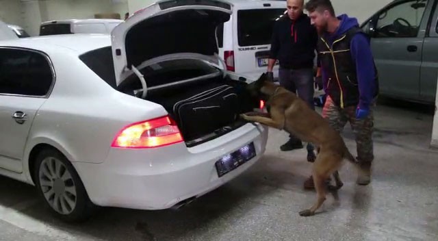 Bolu’da kaçakçılık operasyonunda 6 gözaltı