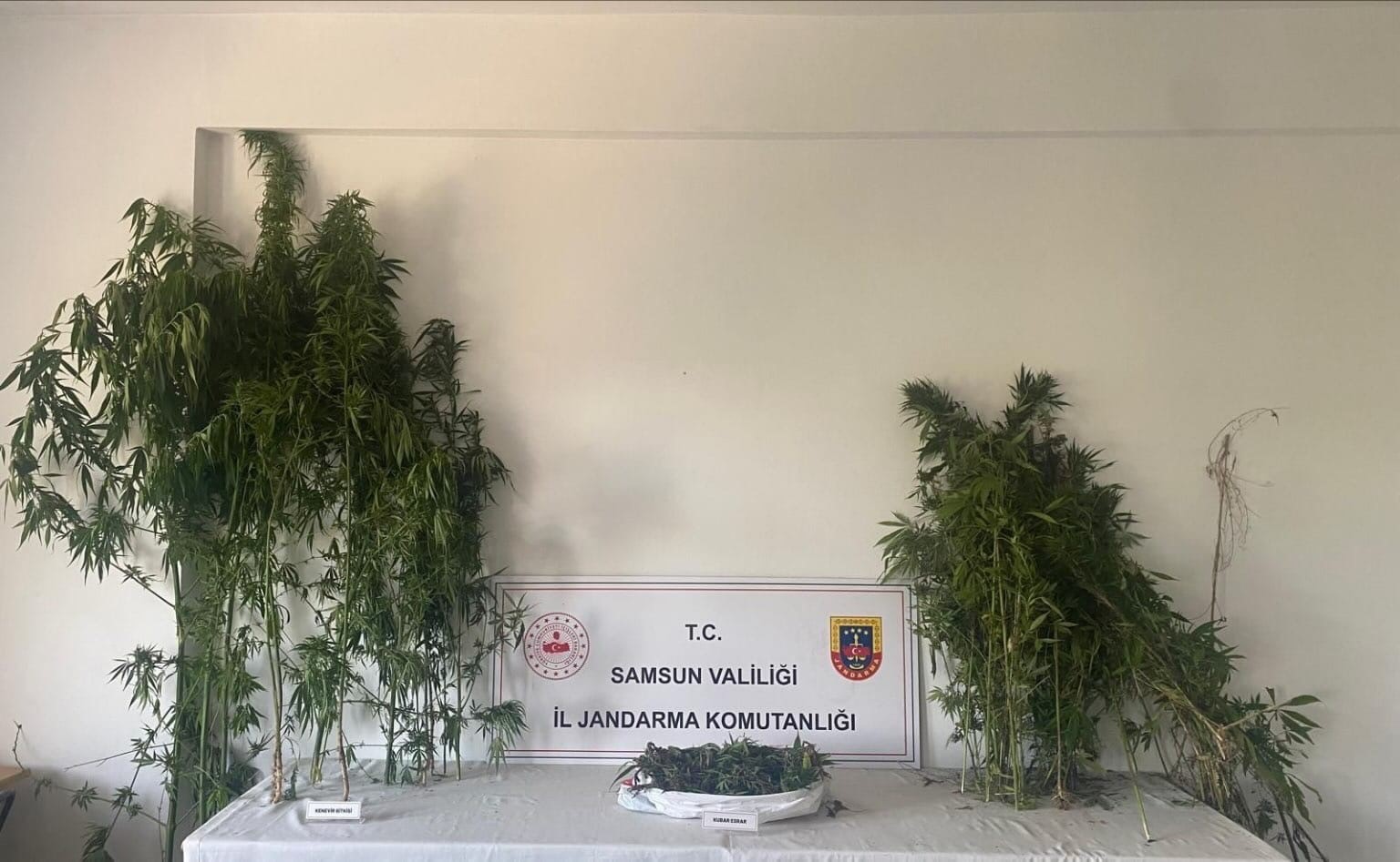 Jandarmadan iki ayrı uyuşturucu operasyonu: 3 gözaltı