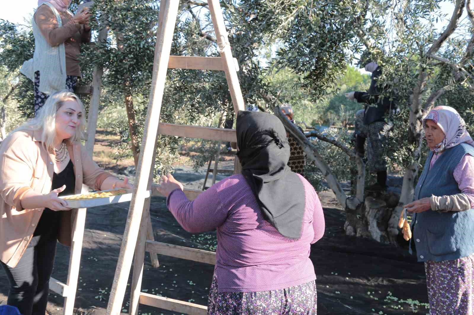 Zeytin hasadı dua ve hayır yemekleriyle başladı
